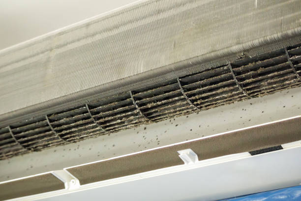 Best Air Duct Sanitization & Disinfection in Keasbey, NJ